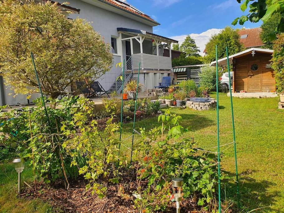 Kornhaus - Schoene Ferienwohnung Mit Pool, Kamin Und Terrasse Gottingen Ngoại thất bức ảnh